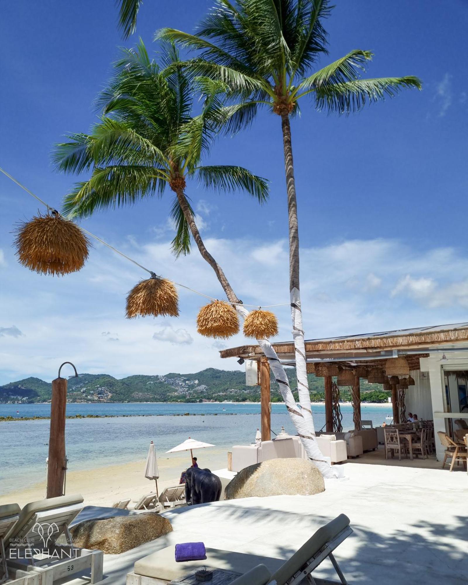 Elephant Beach Club & Resort Samui 查汶海滩 外观 照片